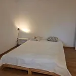 Schwarzwaldblick Rothaus Appartement *