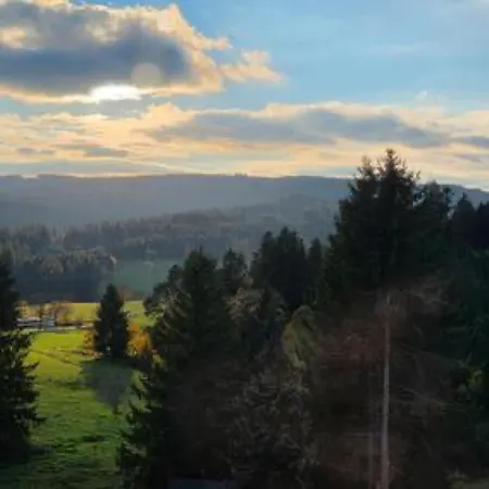 Schwarzwaldblick Rothaus * Faulenfurst