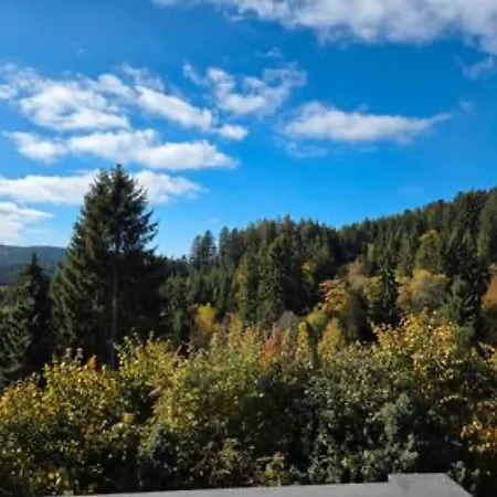 Schwarzwaldblick Rothaus شقة غرافنهاوسن