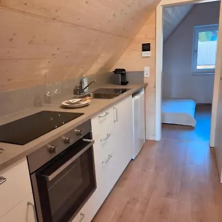 Apartamento Schwarzwaldblick Rothaus Faulenfurst