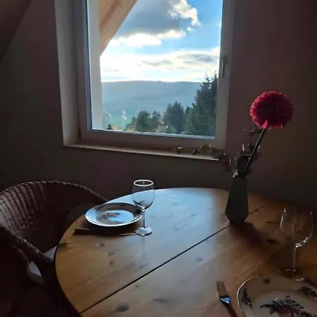 Schwarzwaldblick Rothaus Apartamento
