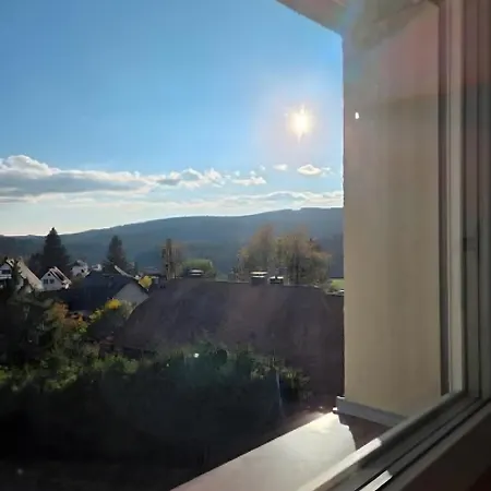Schwarzwaldblick Rothaus شقة *