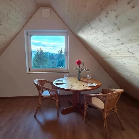 Апартаменты Schwarzwaldblick Rothaus Графенхаузен