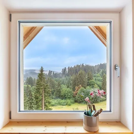 Schwarzwaldblick Rothaus Διαμέρισμα