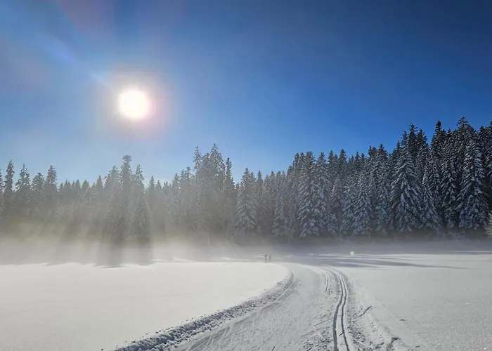 Appartement Schwarzwaldblick Rothaus Grafenhausen